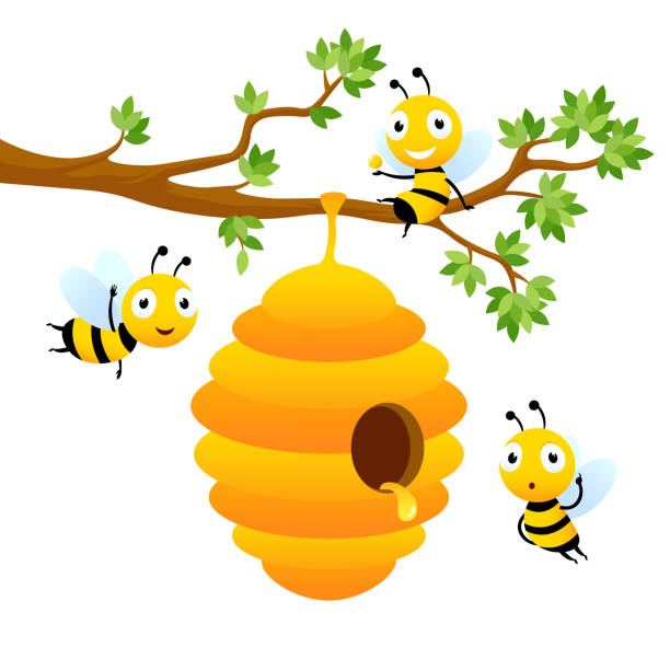 Bee hive Bee hive